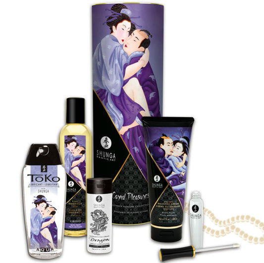 Shunga - Kit de découverte collection Plaisirs Charnels